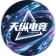 天纵电竞